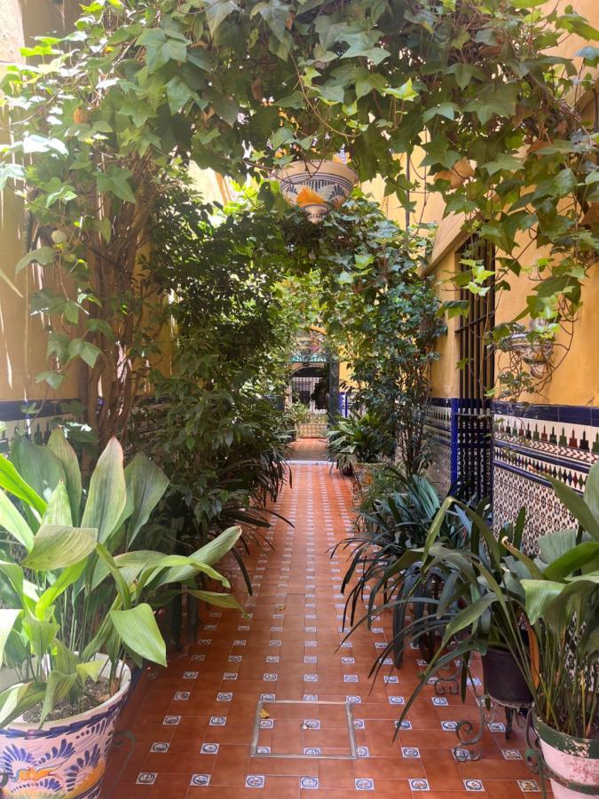 Hostal Atenas Севілья Екстер'єр фото